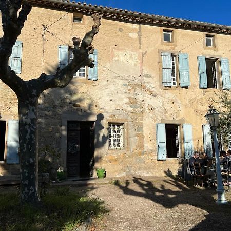 Les 3 Platanes Bed & Breakfast Conilhac-Corbières Dış mekan fotoğraf