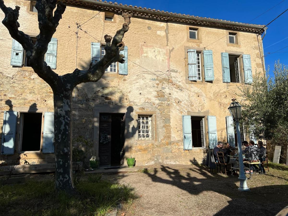 Les 3 Platanes Bed & Breakfast Conilhac-Corbières Dış mekan fotoğraf